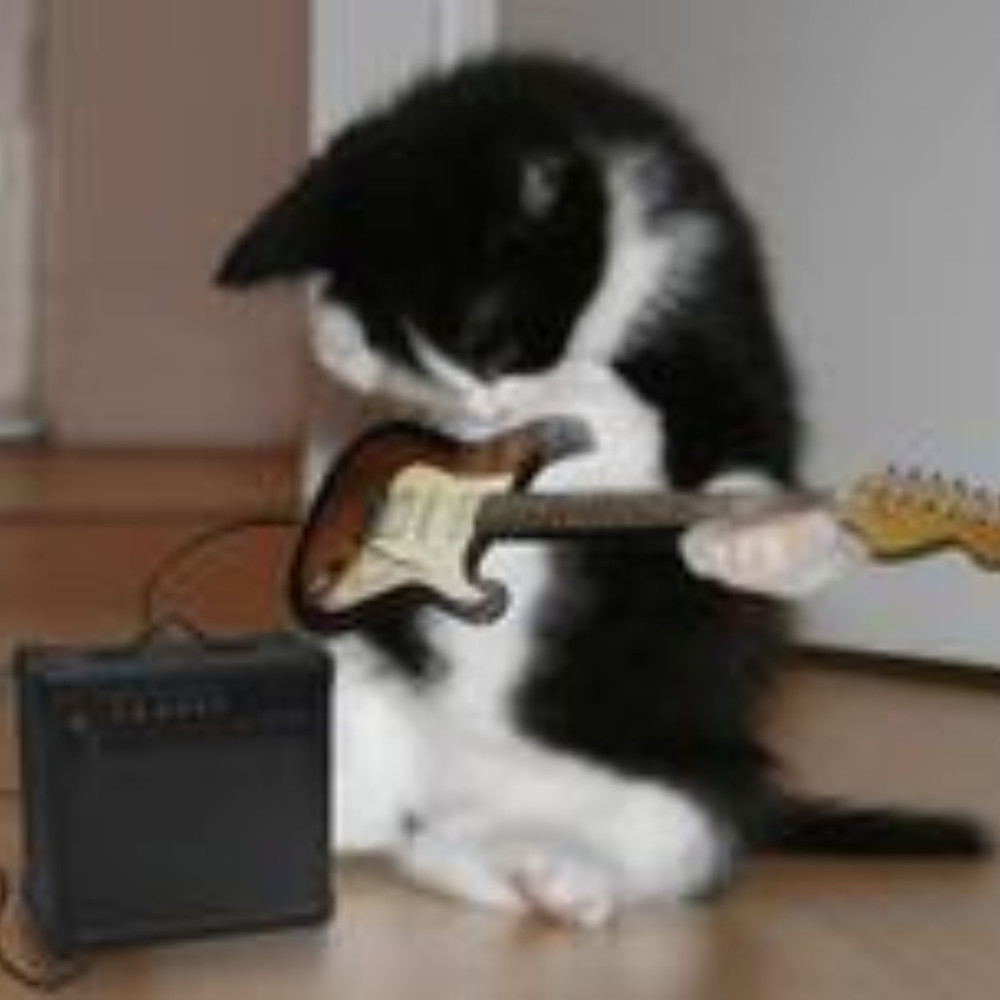 Meet your Posher, Angel